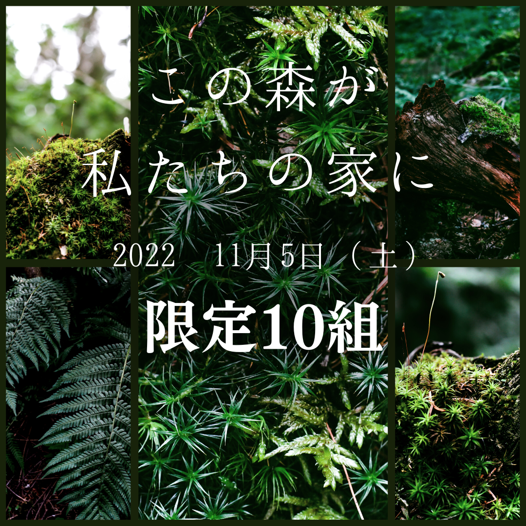 開催決定！2022吉野の森ツアー