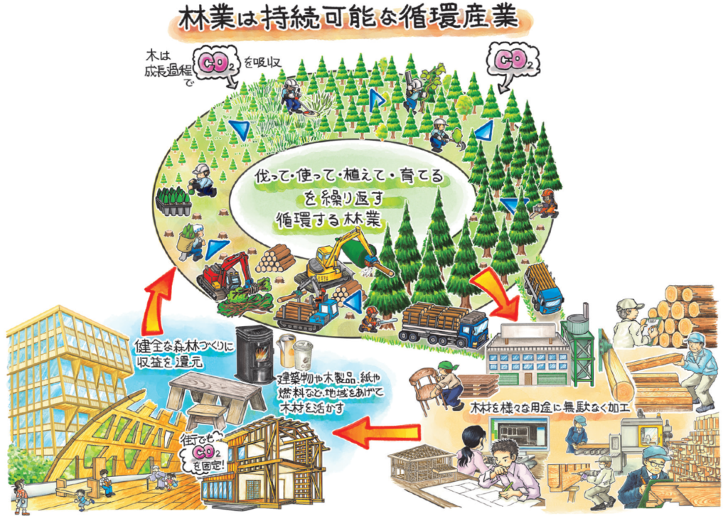 森林業循環活用図